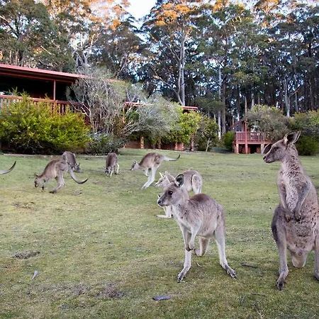 Jenolan Caves House Hotel Room photo