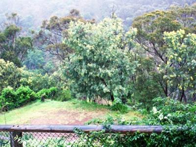 House Guest house Jenolan Caves